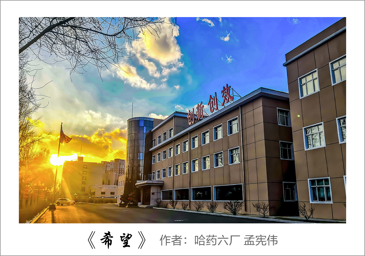 【迎國慶 展風(fēng)采】我眼中的哈藥——職工攝影大賽作品展示！
